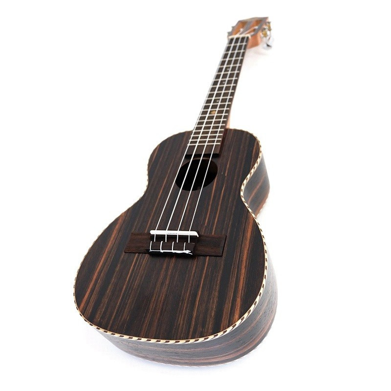 Ukelele Leho Concierto Ebony LHUC-ALEB +Funda
