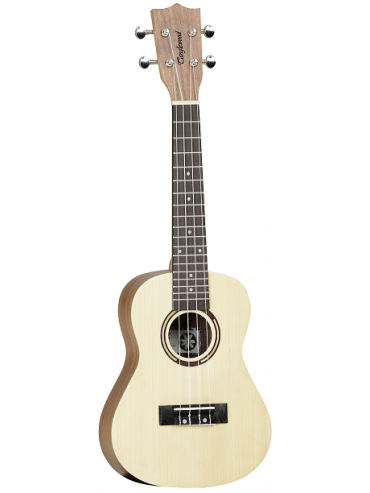 Tanglewood TWT9