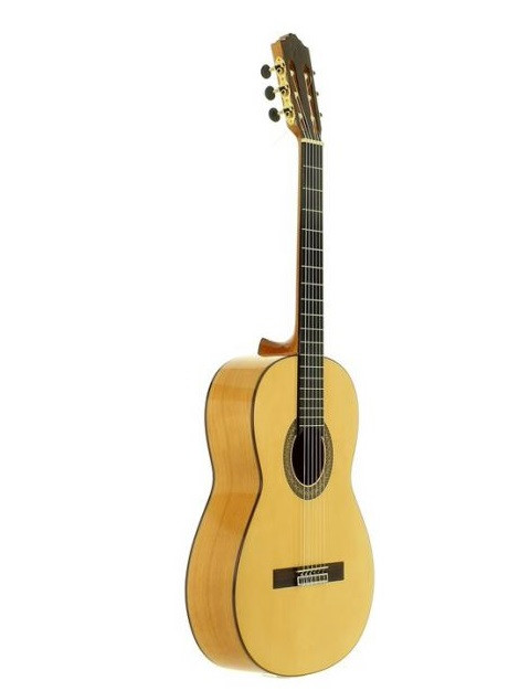 depositar combinación Propuesta alternativa Guitarra Flamenca Amplificada José Torres JTF-50